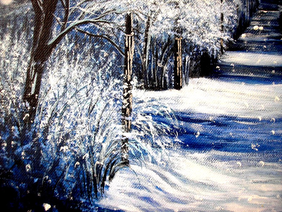 Night alley in winter park