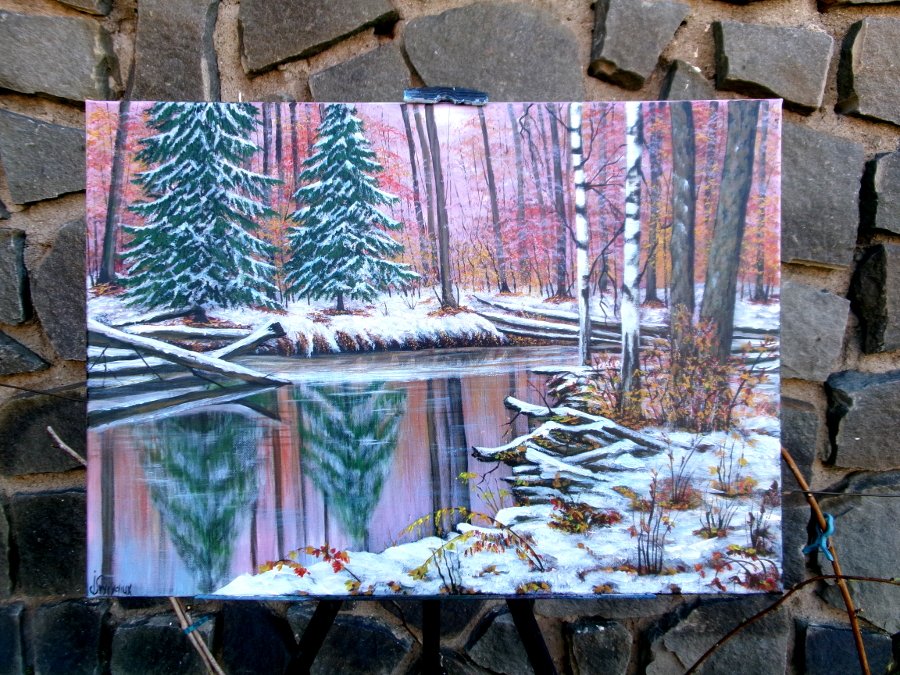 Winter in the  forest
