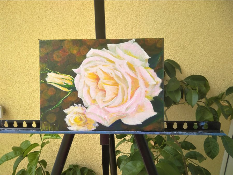 White rose