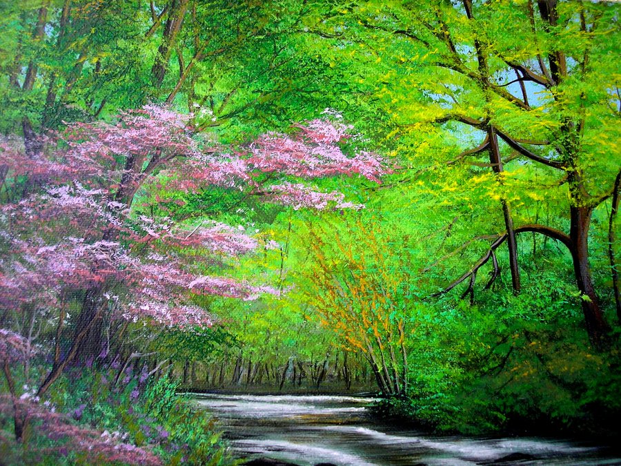 Spring forest