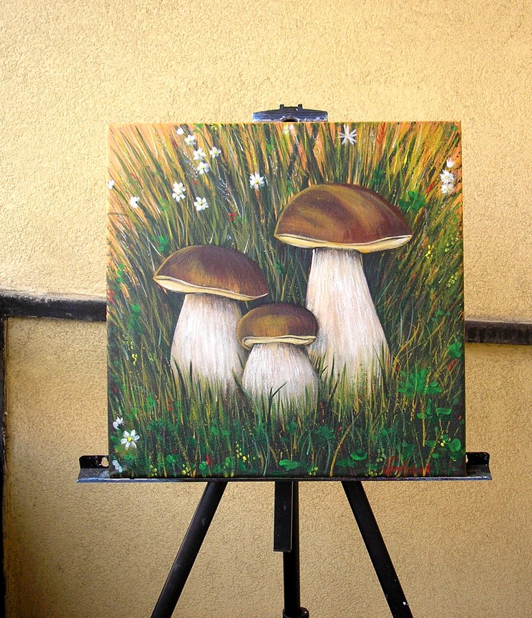 Mushrooms for dad