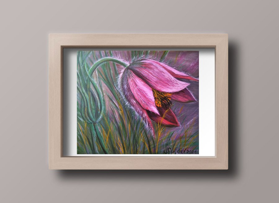 Pulsatilla