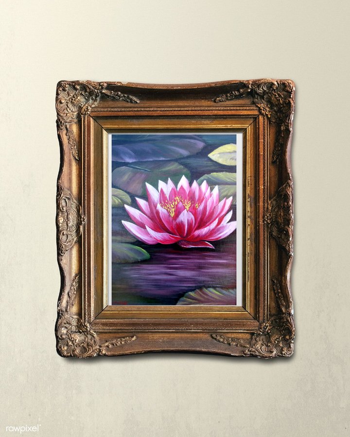 Water lilies