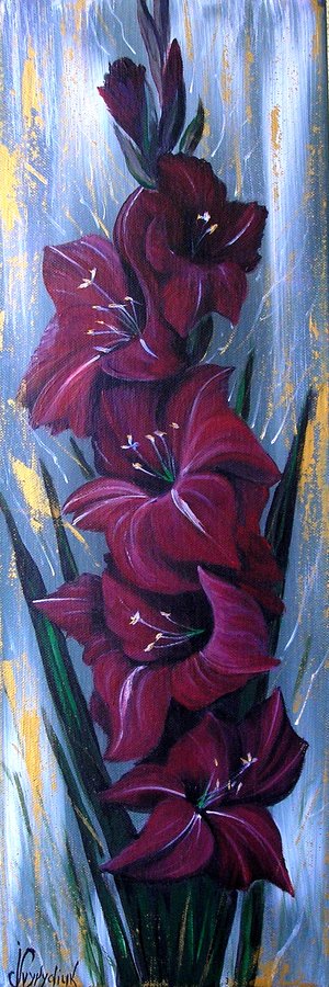 Red gladiolus