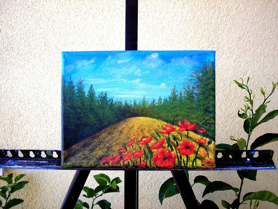 Summer field