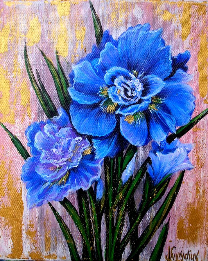 Iris
