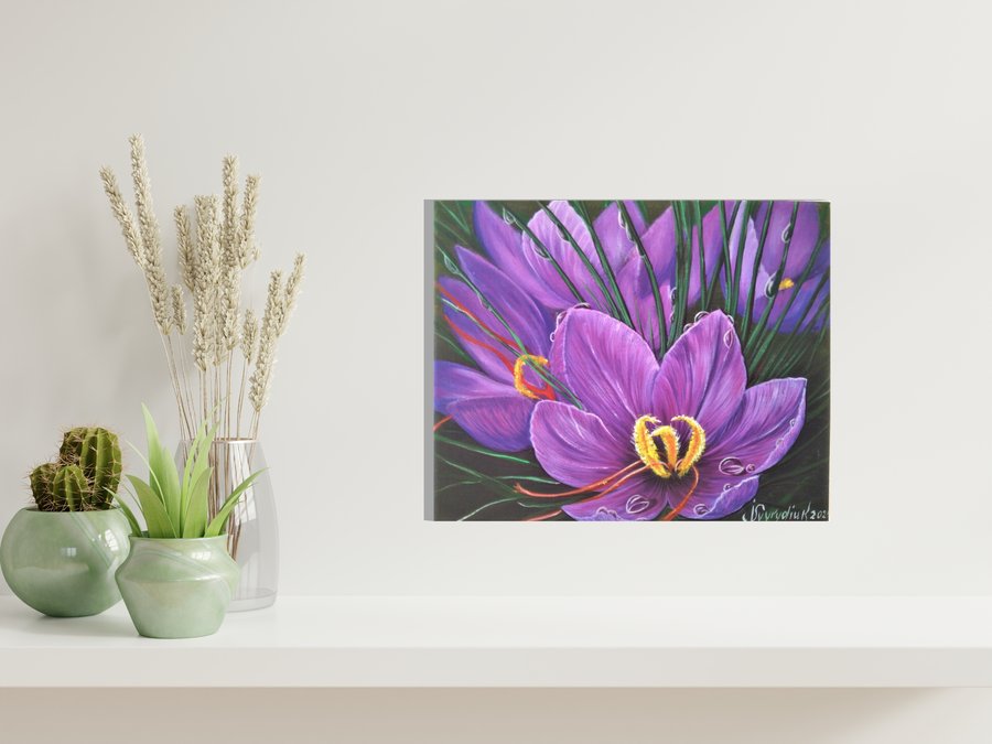 Purple crocuses