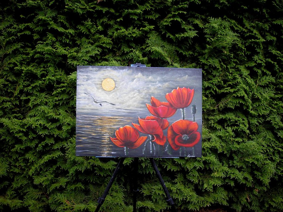 Evening poppies