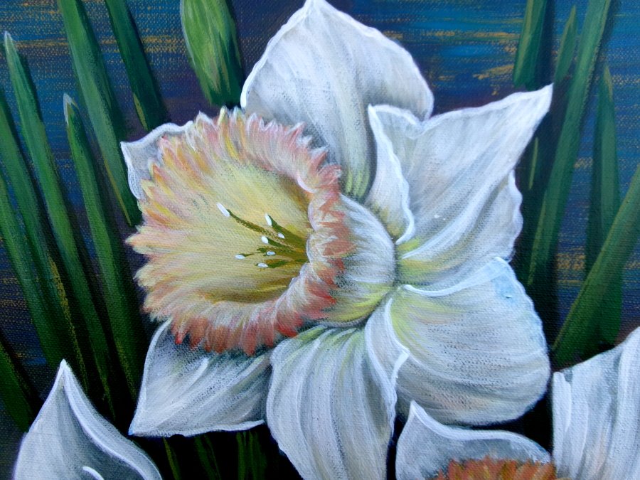 White daffodils