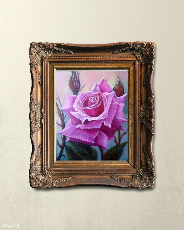 A lonely rose