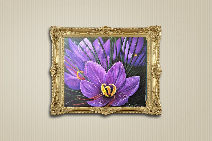 Purple crocuses