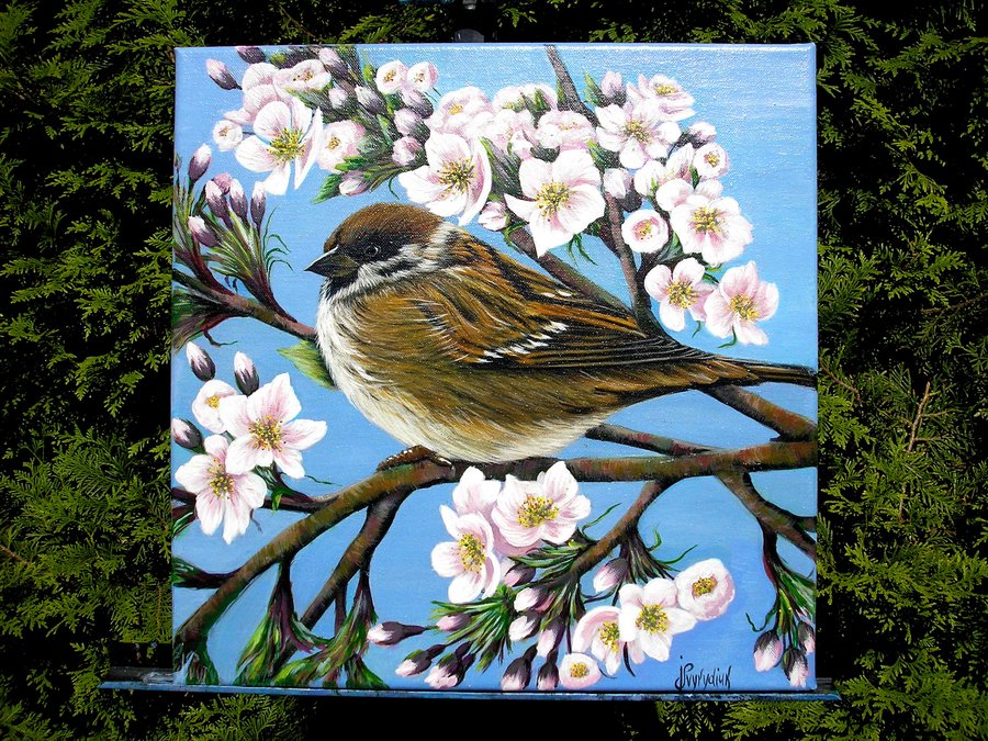 Sparrow