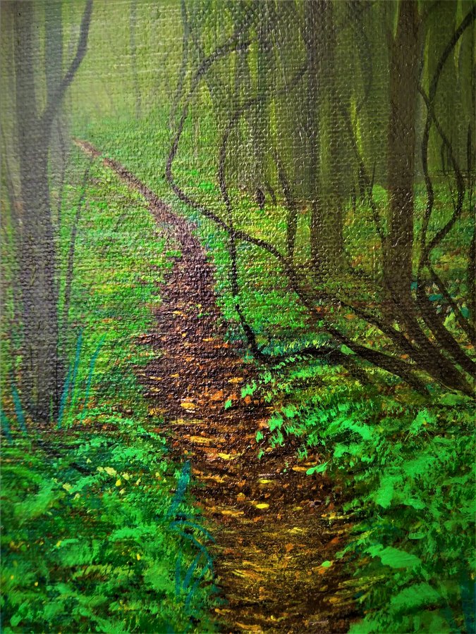 Evening in the woods
