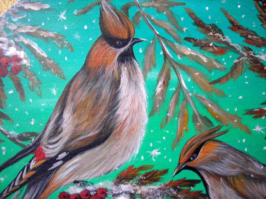 Waxwing  birds