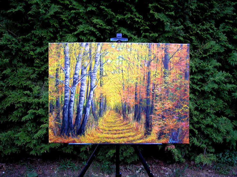 Autumn colors