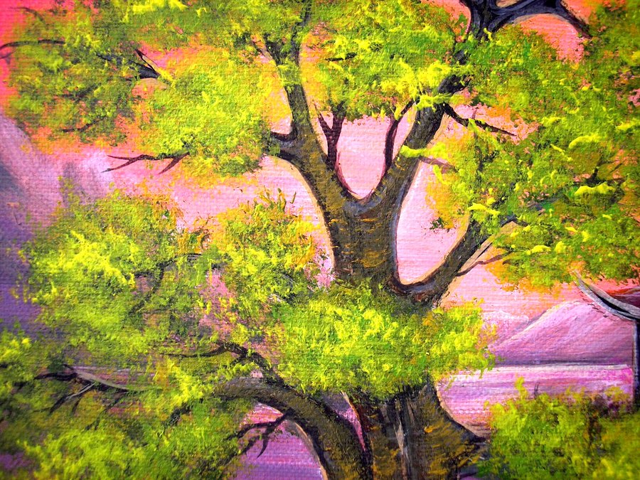 Bonsai