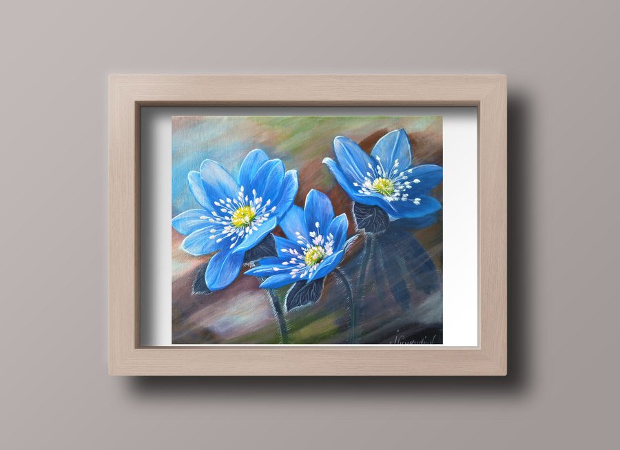 Flowers  Hepatica