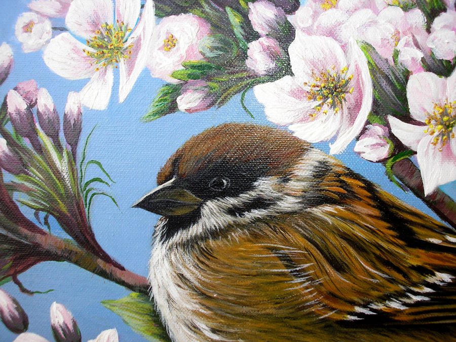 Sparrow