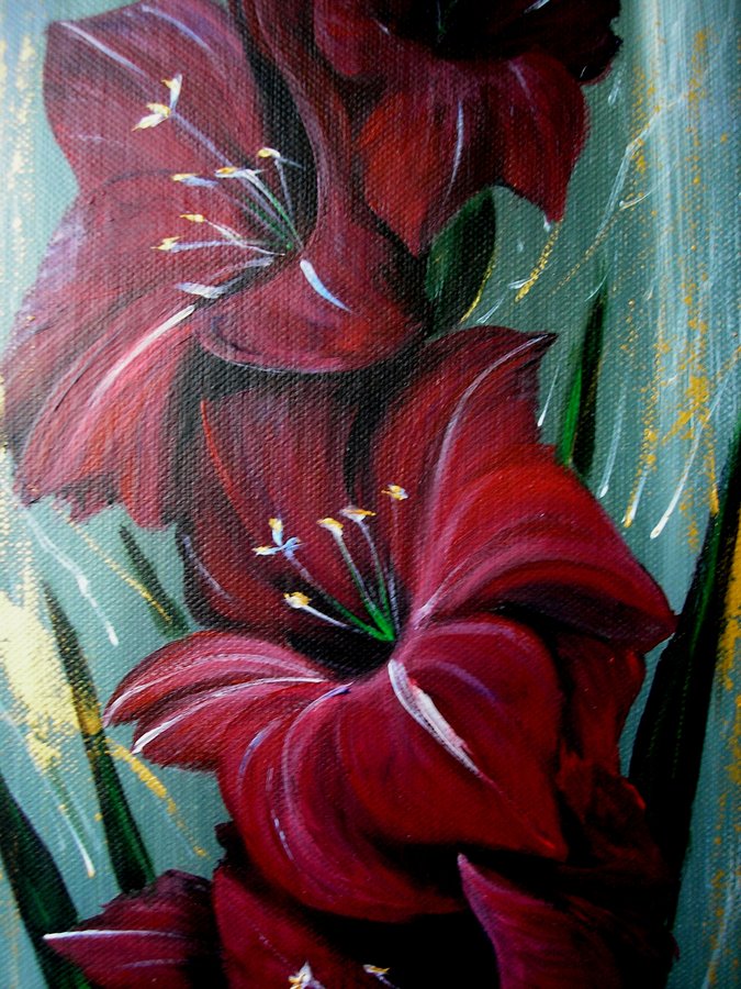 Red gladiolus
