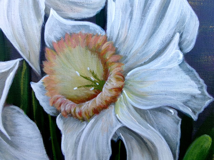 White daffodils