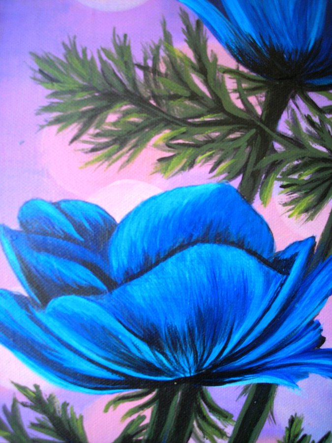 Blue anemone 2