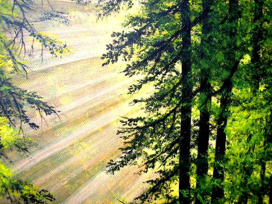 Sunlight