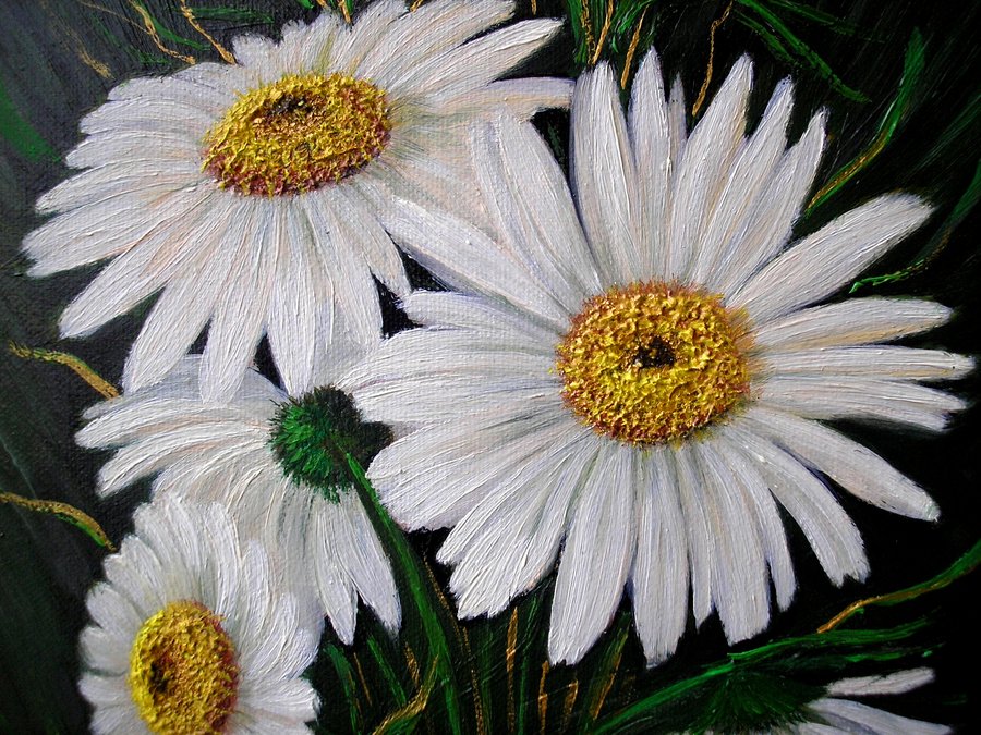 Chamomile 3