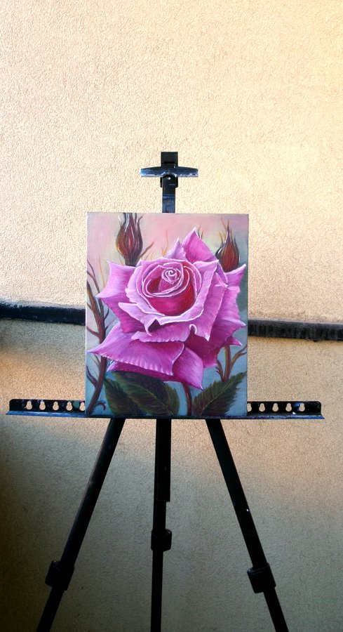 A lonely rose