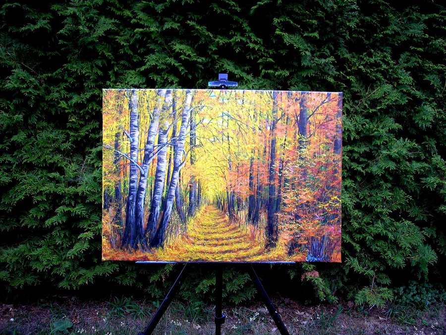Autumn colors