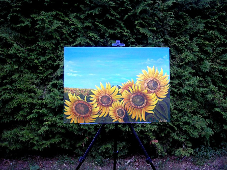 Ukrainian sunflowers