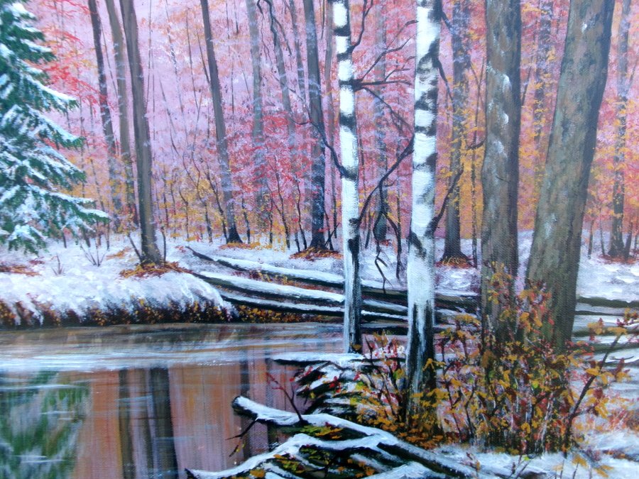 Winter in the  forest