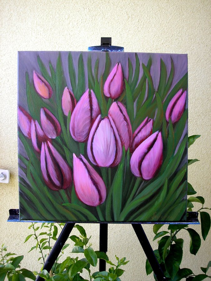 Tulips 2