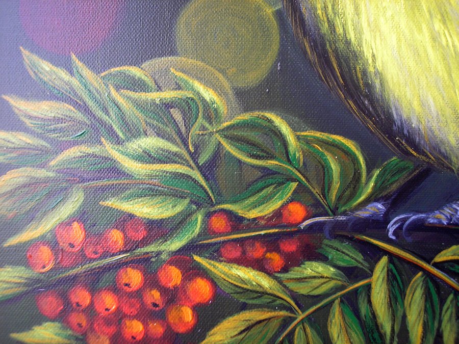 Tit in the mountain ash