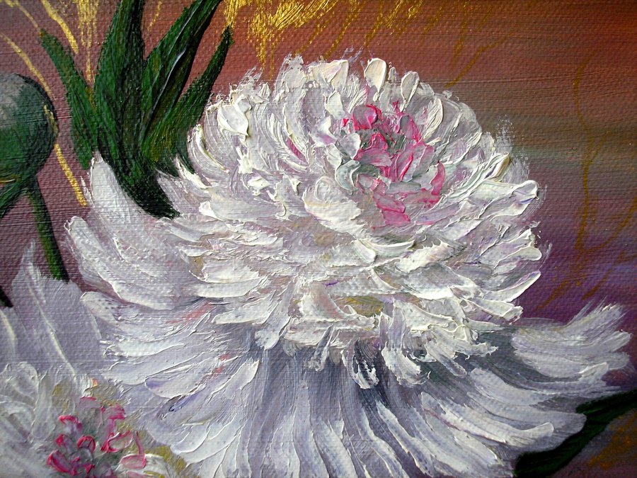 Peonies