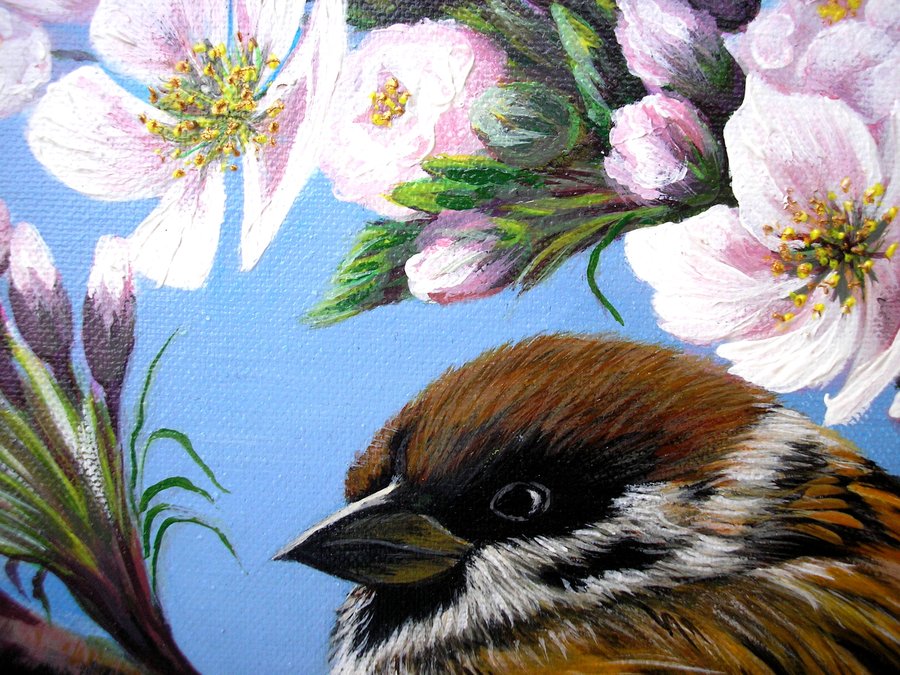 Sparrow