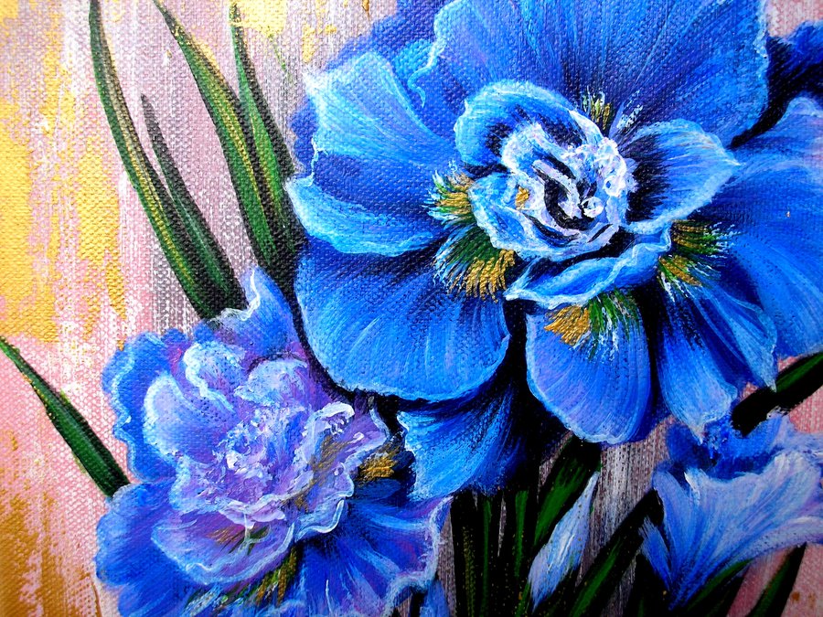 Iris