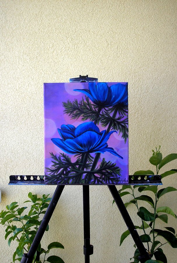 Blue anemone 2