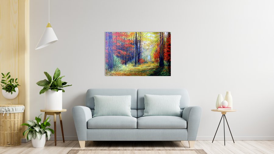 Morning in the autumn forest