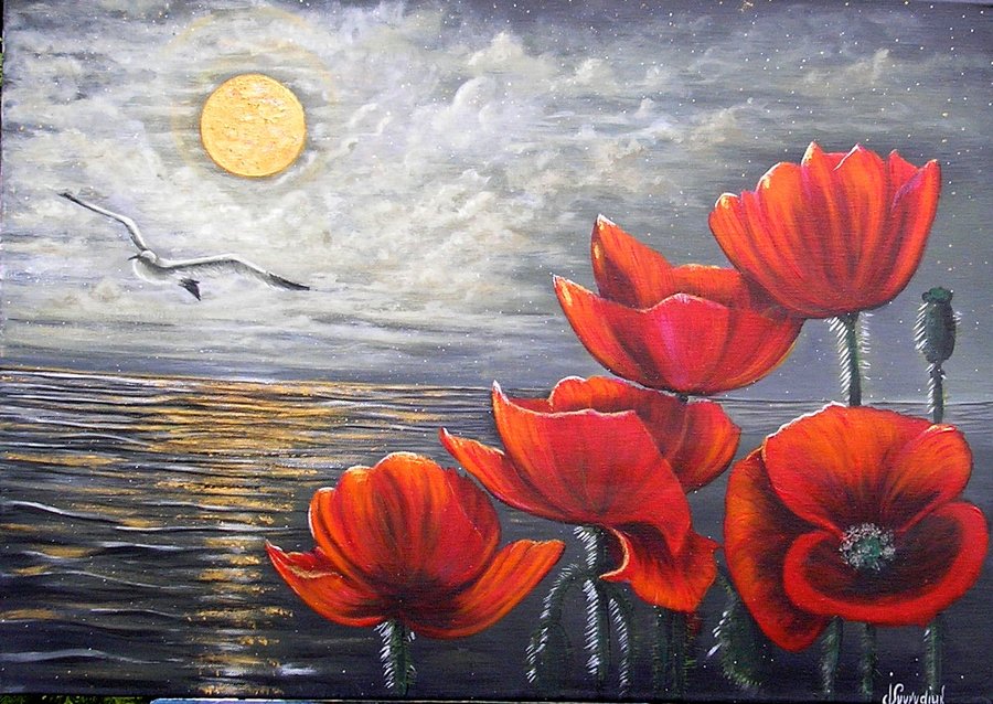 Evening poppies