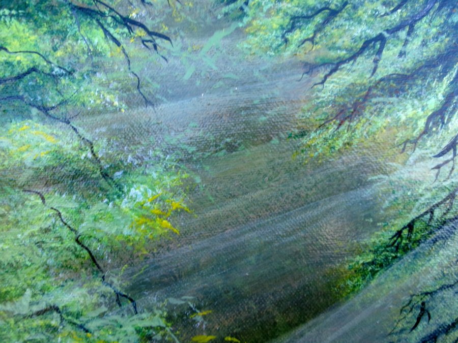Morning in the forest