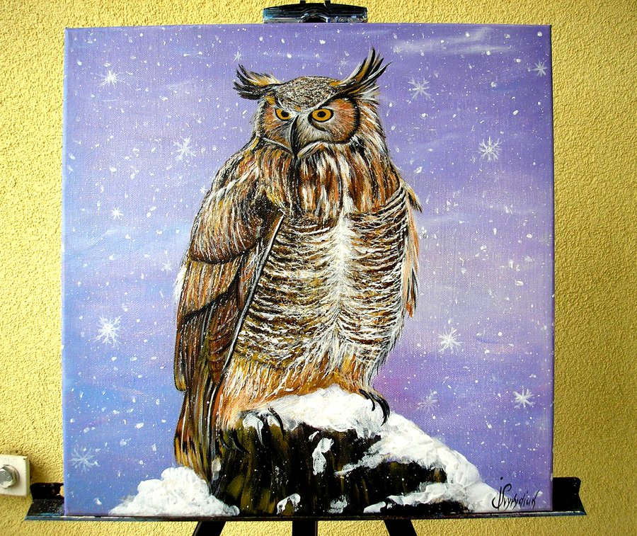Owl