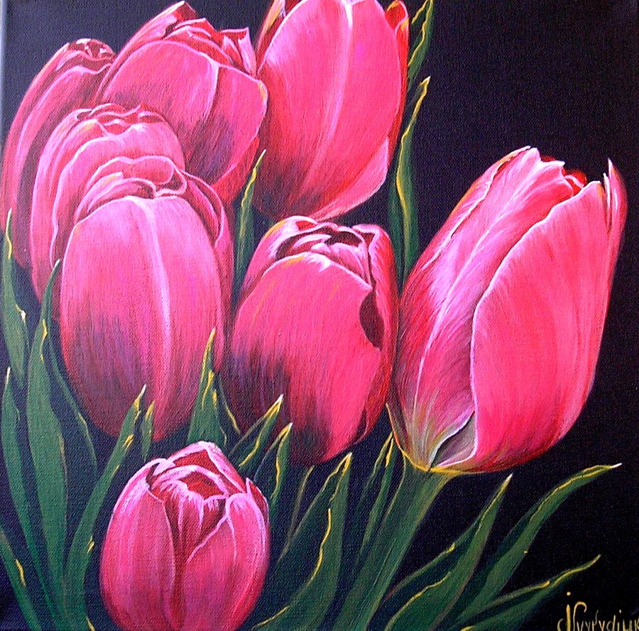Red tulips