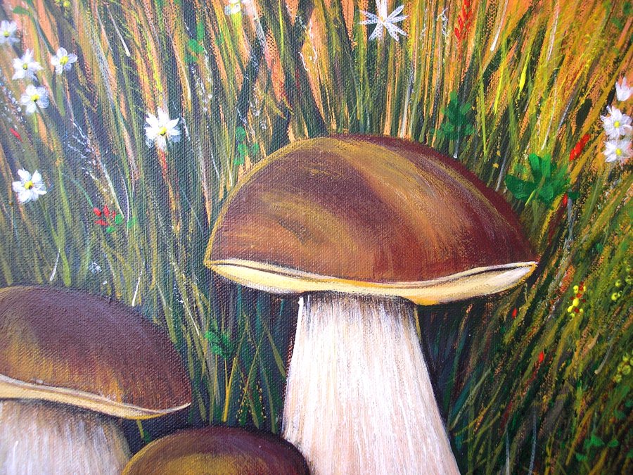 Mushrooms for dad
