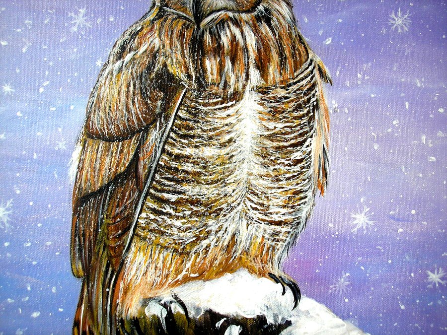 Owl