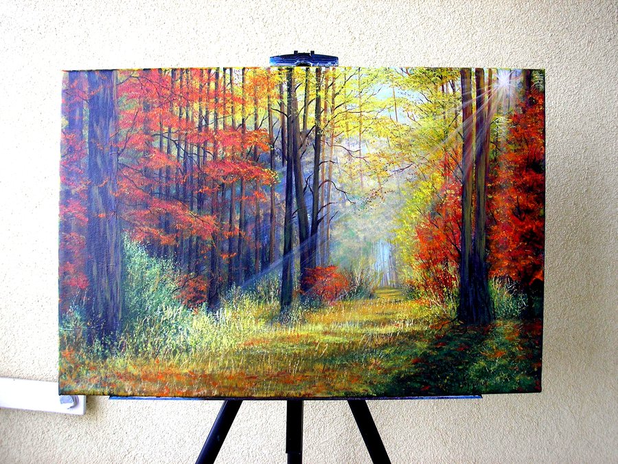 Morning in the autumn forest