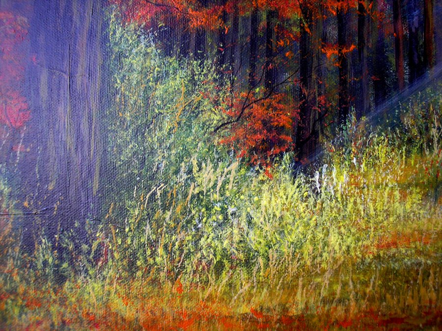 Morning in the autumn forest