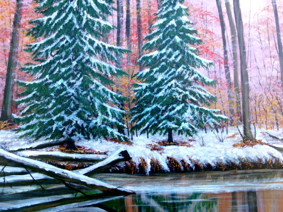 Winter in the  forest