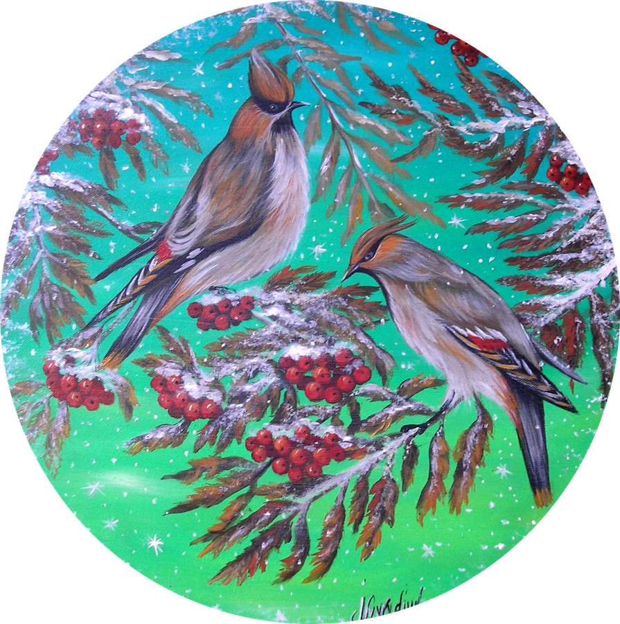 Waxwing  birds