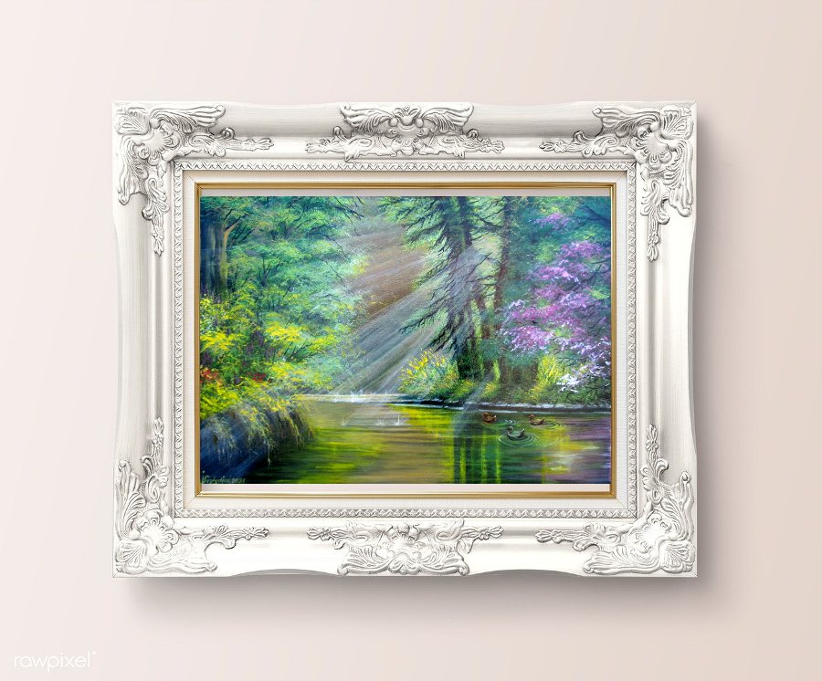 Morning in the forest