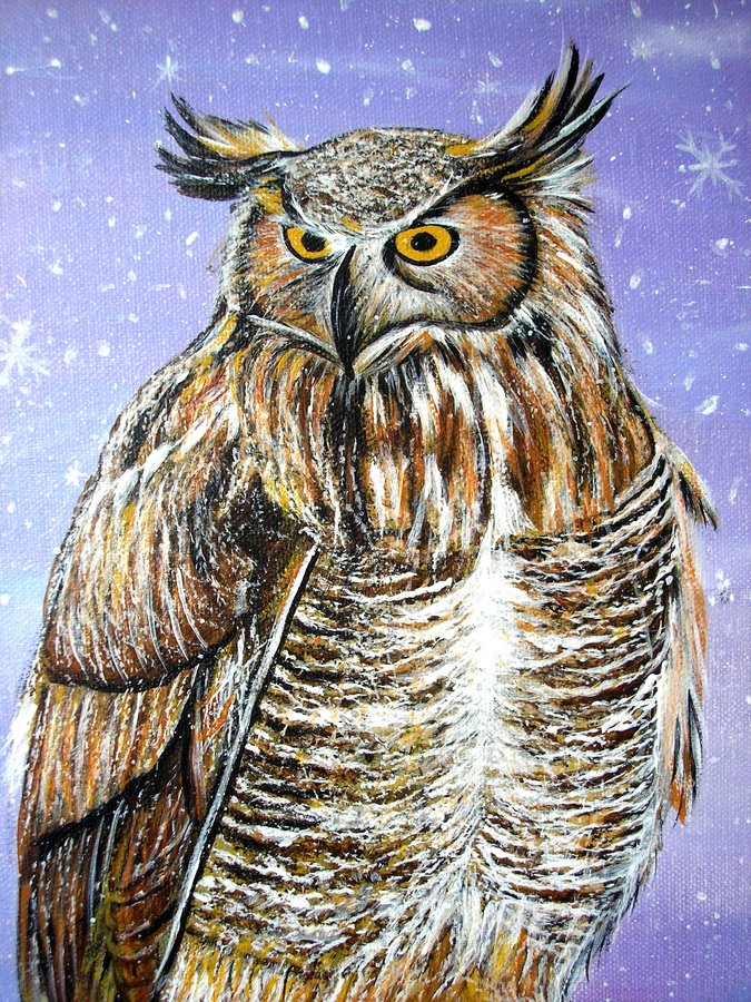 Owl